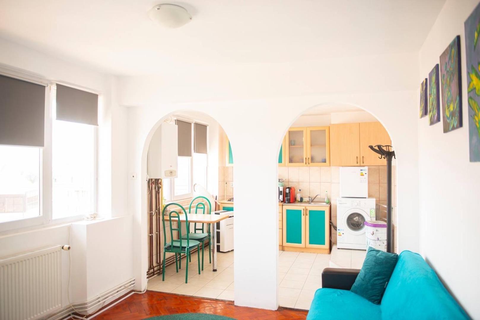 Piata Victoriei- 1 Room Apartment Timişoara Exterior foto