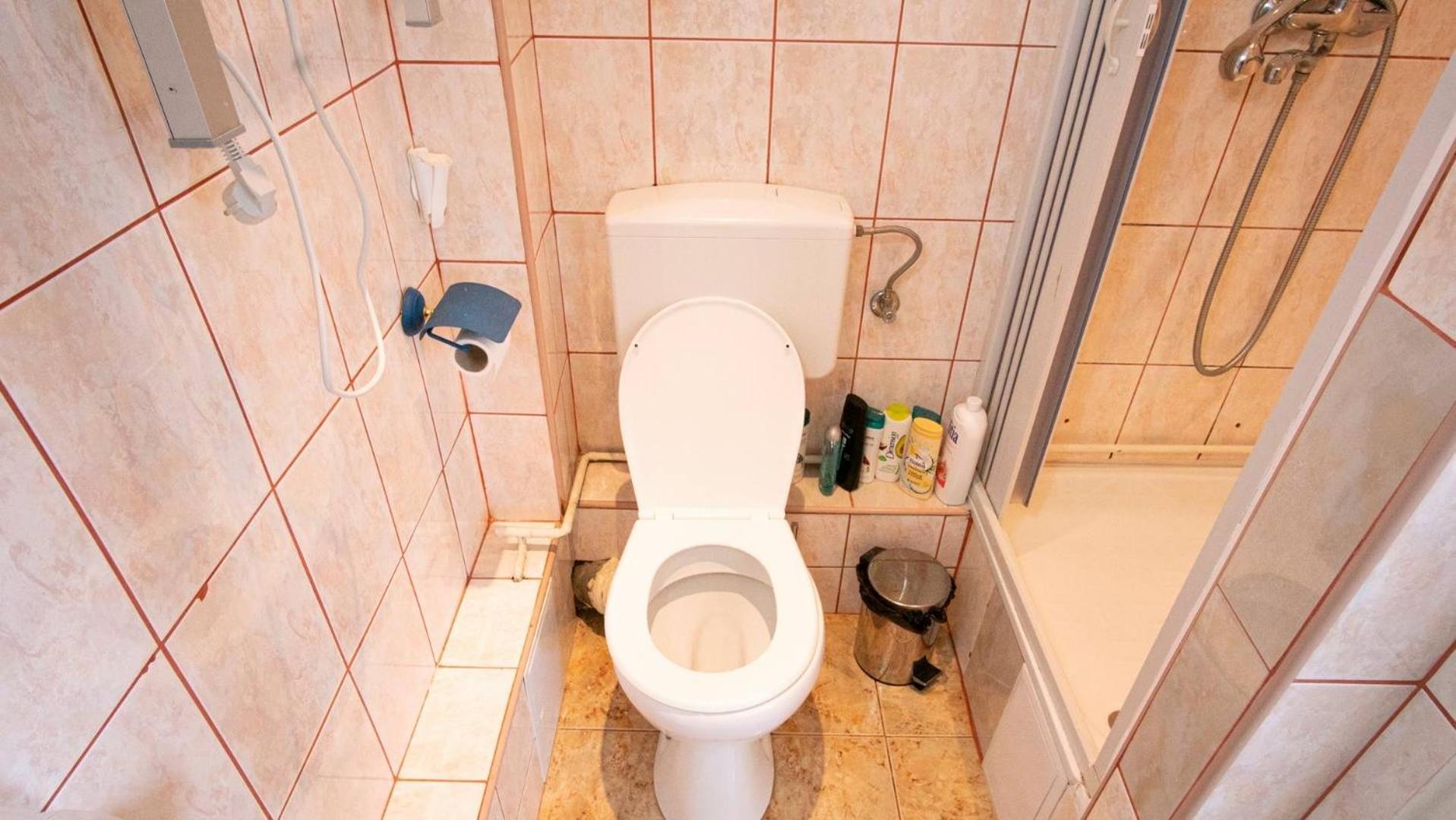 Piata Victoriei- 1 Room Apartment Timişoara Exterior foto