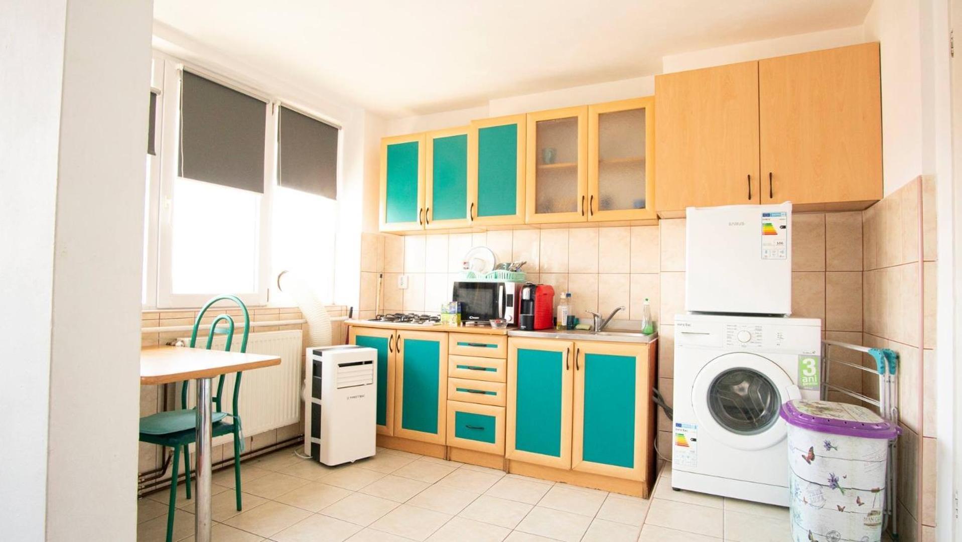 Piata Victoriei- 1 Room Apartment Timişoara Exterior foto